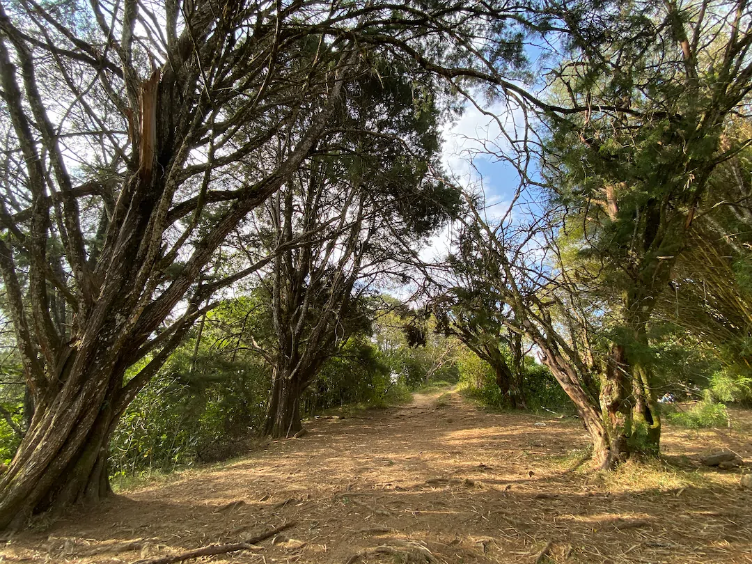 Camino cascada el Anhelo