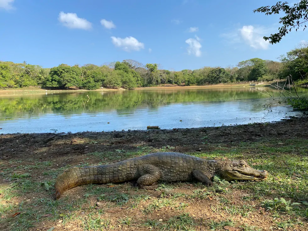 LAGUNA BIG POND