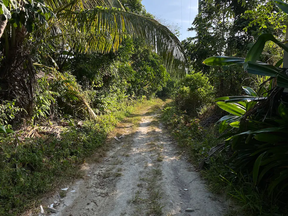 CAMINO DUPPY GULLY